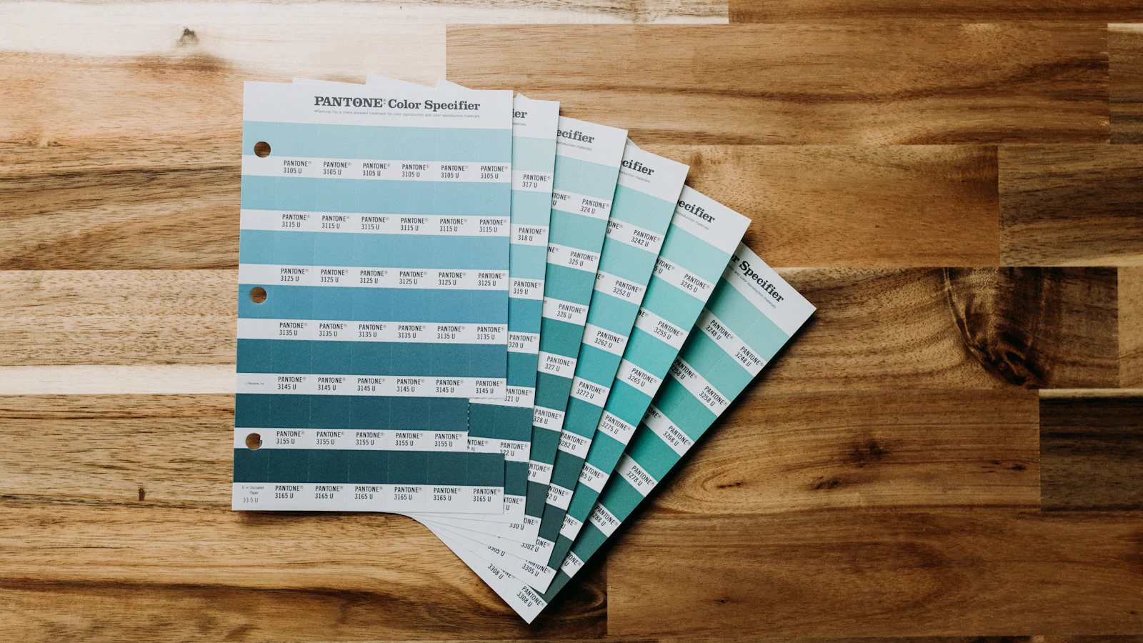 Stain and color sample swatches fanned out across a hardwood floor