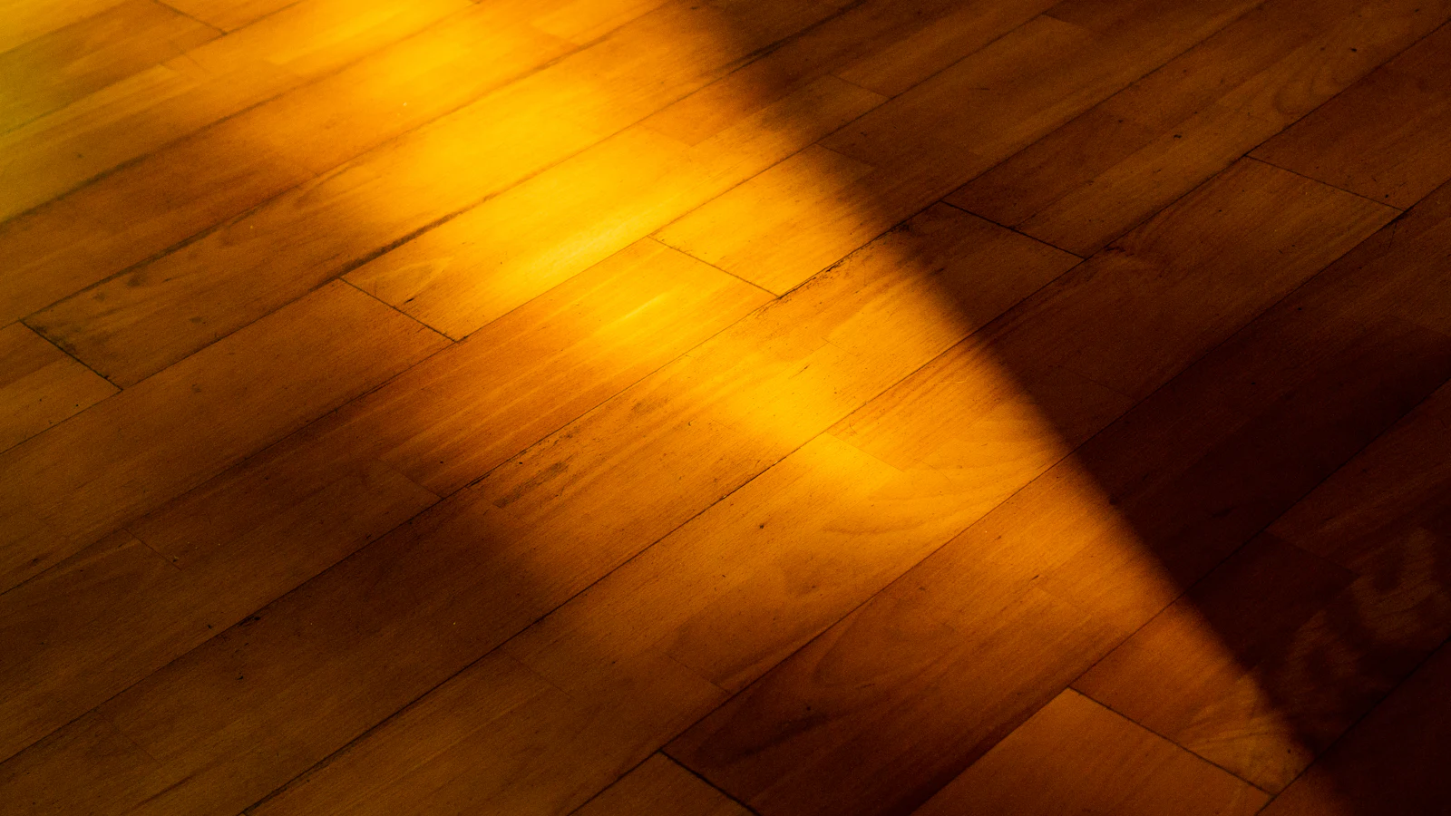 Warm sunlit hardwood floor boards with visible seams between planks